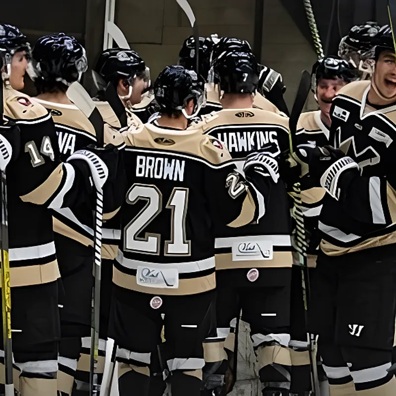 30 Row Boxes Toledo Walleye at Wheeling Nailers Wheeling Tickets - Fri, Nov 13, 2026